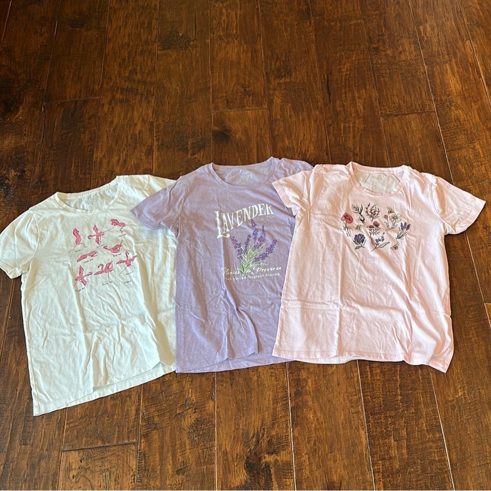Set of Three J Crew Collector Tee in Pastel Colors